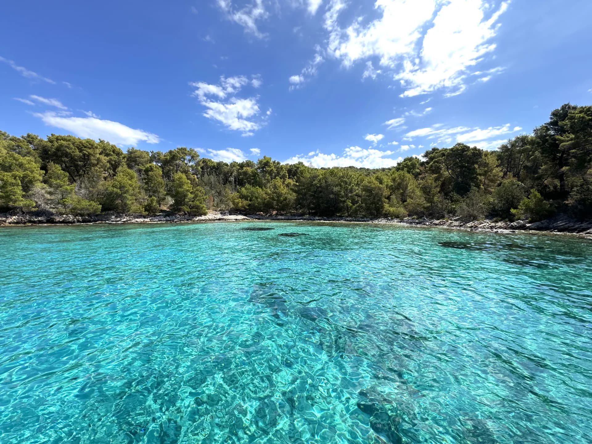 A turquoise bay on Brač ringed by pines, shallow and sheltered — Blue Cave Tours